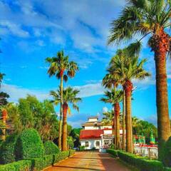 Отель Tropikal Resort Албания, Дуррес - отзывы, цены и фото номеров - забронировать отель Tropikal Resort онлайн фото 10