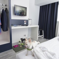 NEO Hotel in Bresso, Italy from 147$, photos, reviews - zenhotels.com room amenities photo 2