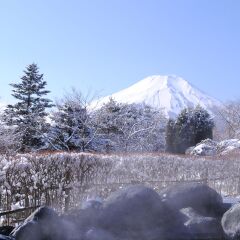 Hotel Mt. Fuji Яманакако приотельная территория