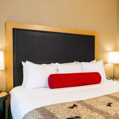 Cambria Hotel Columbus - Polaris комната для гостей фото 3