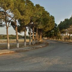 Geyikli Sunshine Hotel Тевфикие фото 16