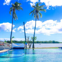 Отель Bayview Cove Resort с домашними животными