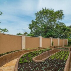 Отель The Springs Resort and Spa at Arenal фото 6