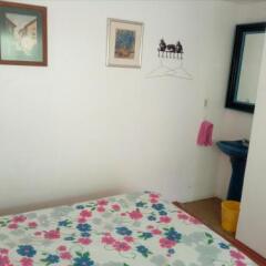 Отель Hostal Cuija Coyoacan Мексика, Мехико - отзывы, цены и фото номеров - забронировать отель Hostal Cuija Coyoacan онлайн комната для гостей фото 3
