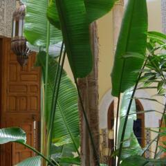 Отель Riad Dar Zouhour Марокко, Рабат - отзывы, цены и фото номеров - забронировать отель Riad Dar Zouhour онлайн