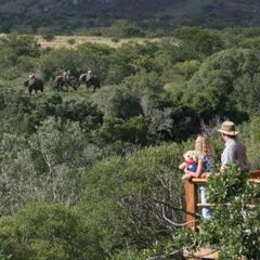 Отель Addo Elephant Back Safaris and Lodge Южная Африка, Аддо - отзывы, цены и фото номеров - забронировать отель Addo Elephant Back Safaris and Lodge онлайн развлечения