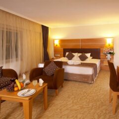 Ankara Plaza Hotel комната для гостей фото 2