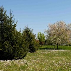 Отель Villa Pinella Прамаджоре приотельная территория