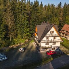 Отель Pokoje i Apartamenty Nad Potokiem Закопане фото 2
