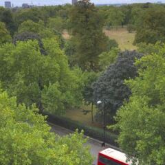 Отель Thistle Kensington Gardens Великобритания, Лондон - отзывы, цены и фото номеров - забронировать отель Thistle Kensington Gardens онлайн фото 5