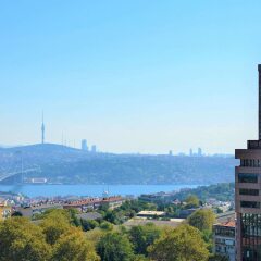 Отель Mercure Istanbul The Plaza Bosphorus фото 4