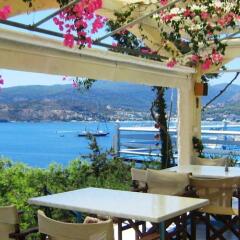 Отель Kavos Bay Seafront Hotel Греция, Эгина - отзывы, цены и фото номеров - забронировать отель Kavos Bay Seafront Hotel онлайн питание фото 3