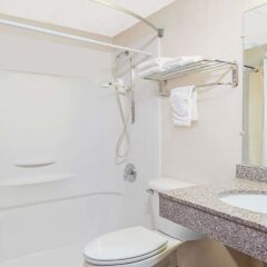 Отель Days Inn by Wyndham Great Bend США, Хойзингтон - отзывы, цены и фото номеров - забронировать отель Days Inn by Wyndham Great Bend онлайн ванная