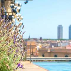 Отель Ohla Barcelona Испания, Барселона - 2 отзыва об отеле, цены и фото номеров - забронировать отель Ohla Barcelona онлайн пляж