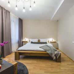 Отель Bearsleys Blacksmith Apartments Латвия, Рига - отзывы, цены и фото номеров - забронировать отель Bearsleys Blacksmith Apartments онлайн комната для гостей фото 4