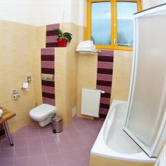 Hotel U Pramenu Пльзень сауна