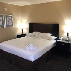 Отель Radisson Jfk Airport США, Нью-Йорк - отзывы, цены и фото номеров - забронировать отель Radisson Jfk Airport онлайн комната для гостей фото 4