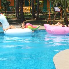 Отель Nam Chau Boutique Resort – Mui Ne Passion с домашними животными