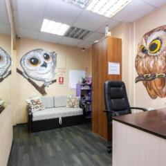 Отель Жилое помещение Wood Owl Москва спа