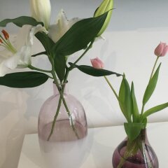 Отель Antwerp Business Suites Бельгия, Антверпен - отзывы, цены и фото номеров - забронировать отель Antwerp Business Suites онлайн интерьер отеля фото 2