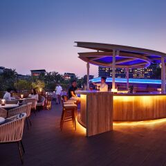 Отель Grand Hyatt Sanya Haitang Bay Resort and Spa гостиничный бар