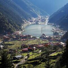 Royal Uzungol Hotel&Spa Турция, Узунгёль - отзывы, цены и фото номеров - забронировать отель Royal Uzungol Hotel&Spa онлайн фото 5