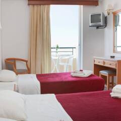 Dedalos Beach Hotel комната для гостей