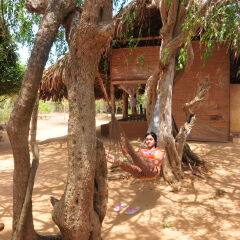 Отель Back of Beyond - Safari Lodge Yala развлечения