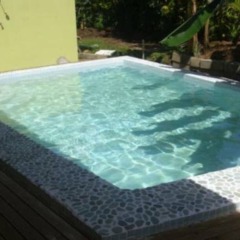 Отель Golden Palms Retreat Фиджи, Вити-Леву - отзывы, цены и фото номеров - забронировать отель Golden Palms Retreat онлайн бассейн фото 2
