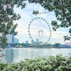 Отель M Social Singapore фото 4
