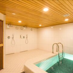 Отель Original Sokos Hotel Viru Эстония, Таллин - - забронировать отель Original Sokos Hotel Viru, цены и фото номеров сауна