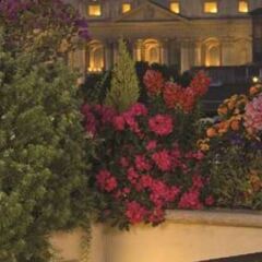 Atlante Star Hotel фото 22