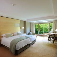 Vineyard Hotel комната для гостей фото 3