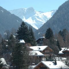 Отель Park Gstaad Швейцария, Гштад - отзывы, цены и фото номеров - забронировать отель Park Gstaad онлайн фото 7
