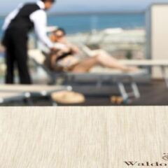 Waldorf Suite Hotel фитнесс-зал