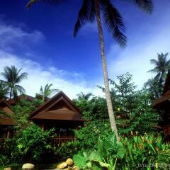 Отель Nora Beach Resort & Spa фото 8
