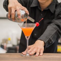 Citrus Grande Hotel Pattaya by Compass Hospitality с домашними животными