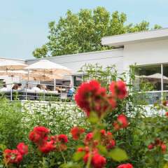 Hotel Novotel Brussels Airport Завентем фото 9