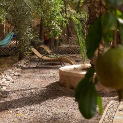 Отель Ecolodge - La Palmeraie Марокко, Уарзазат - отзывы, цены и фото номеров - забронировать отель Ecolodge - La Palmeraie онлайн приотельная территория фото 2