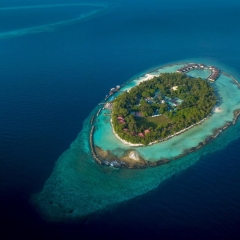 Отель Ellaidhoo Maldives by Cinnamon фото 11