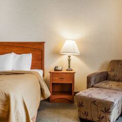 Отель Quality Hotel & Suites At The Falls США, Ниагара-Фолс - отзывы, цены и фото номеров - забронировать отель Quality Hotel & Suites At The Falls онлайн с домашними животными