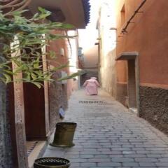 Отель Maison Aicha Марокко, Марракеш - отзывы, цены и фото номеров - забронировать отель Maison Aicha онлайн фото 2