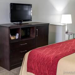 Отель Comfort Inn And Suites Near Universal Studios Лос-Анджелес удобства в номере