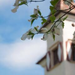 Hotel Castel Rundegg Меран развлечения
