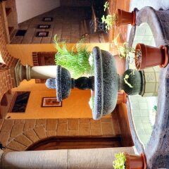 Отель Casa Azul B & B Мексика, Мехико - отзывы, цены и фото номеров - забронировать отель Casa Azul B & B онлайн питание фото 2