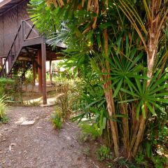 Отель Fruit Tree Lodge Ланта фото 4
