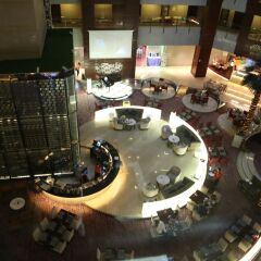 Grand Skylight International Hotel Shenzhen Guanlan Avenue развлечения