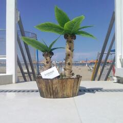 Отель Riviera Mare Римини фото 2
