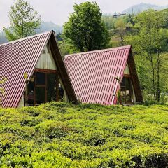 Отель Tabiat Bungalows Чамлыхемшин