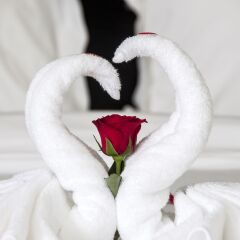 Dylan Hotel Da Nang в номере фото 2